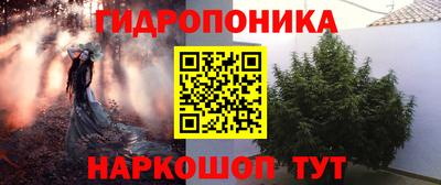 шишки Обнинск