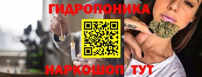 шишки Обнинск