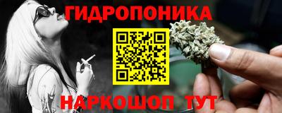 шишки Обнинск