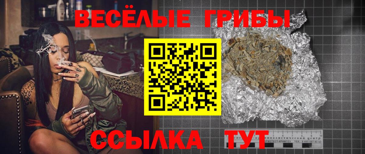Сегежа  Псилоцибиновые грибы мицелий  Вход с VPN 